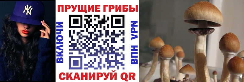 Галлюциногенные грибы прущие грибы  Кириллов 